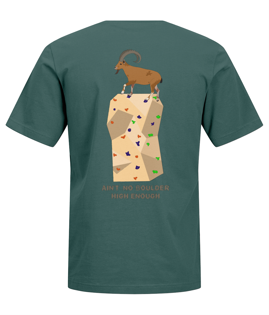Back Side
