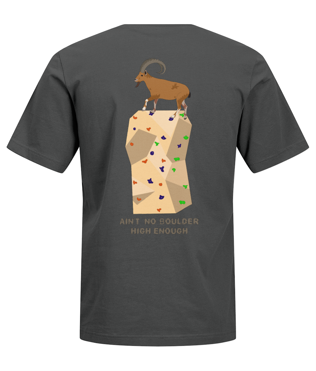 Back Side