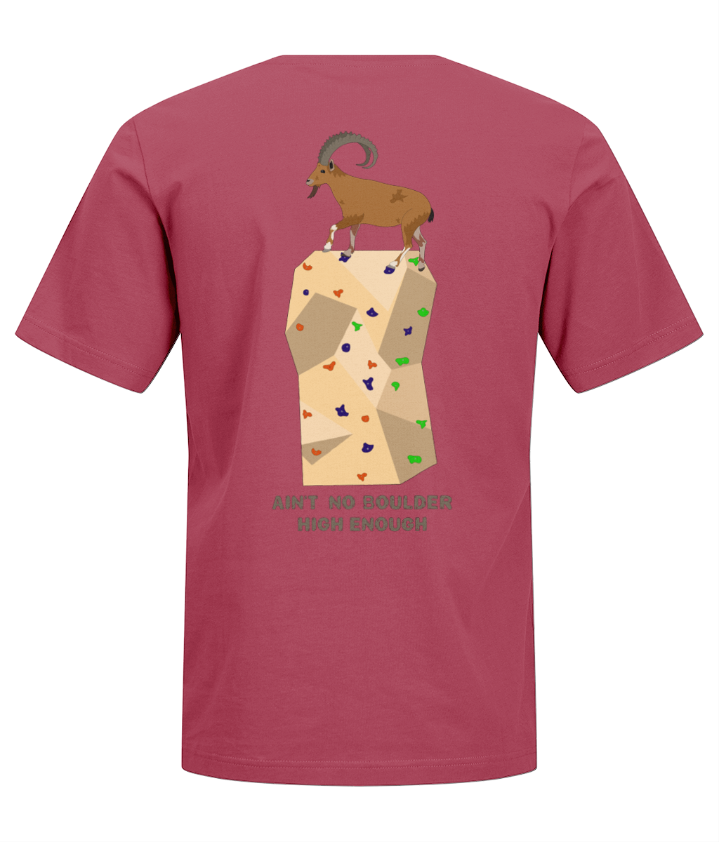 Back Side