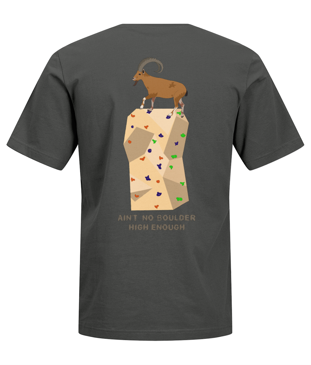 Back Side